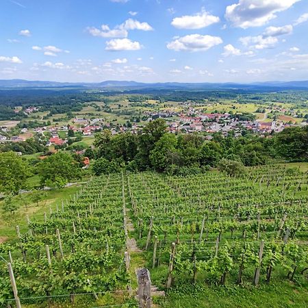 Zidanica-Vineyard Cottage Jakse Semic Exterior foto