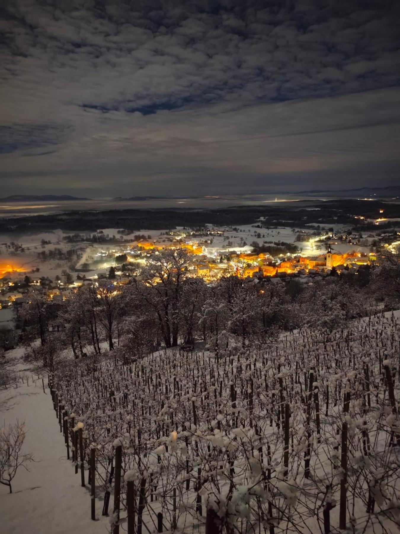 Zidanica-Vineyard Cottage Jakse Semic Cameră foto
